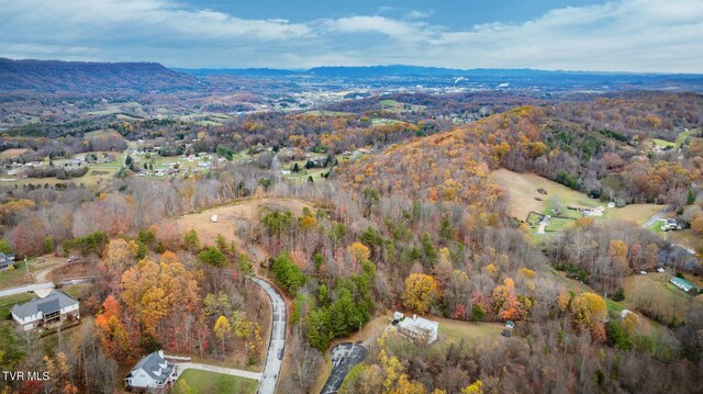 495 Oak Forest Pl, Kingsport, TN 37664 - photo 9