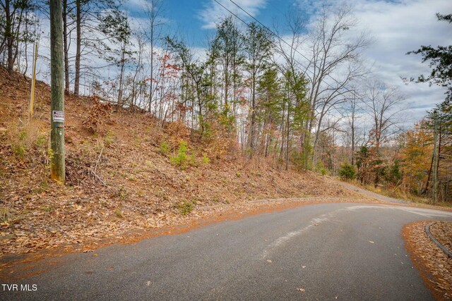 495 Oak Forest Pl, Kingsport, TN 37664 - photo 11