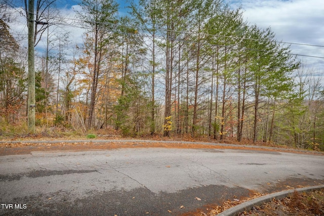 495 Oak Forest Pl, Kingsport, TN 37664 - photo 12