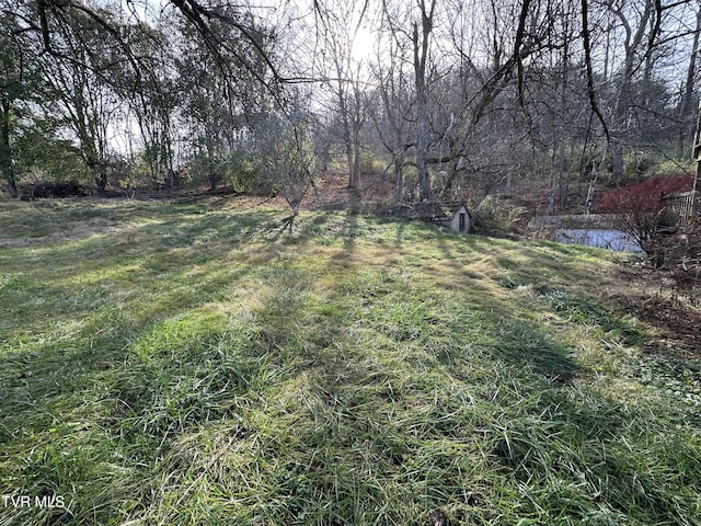 view of yard featuring a water view