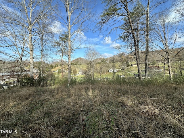 view of local wilderness