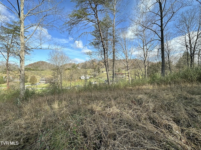 view of local wilderness featuring a mountain view