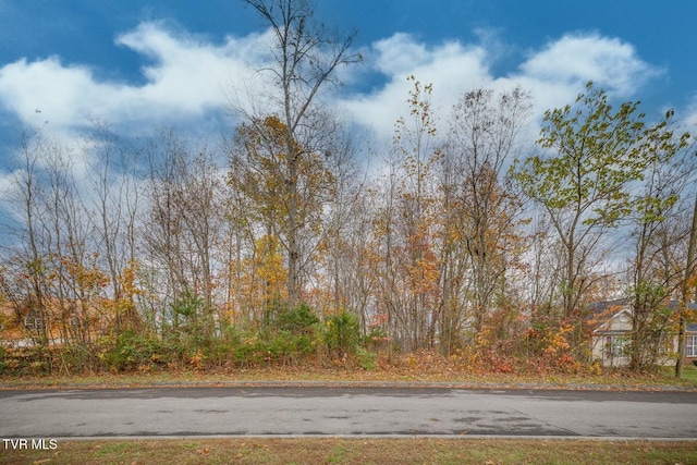 Listing photo 2 for TBD Woodview Ct, Kingsport TN 37664