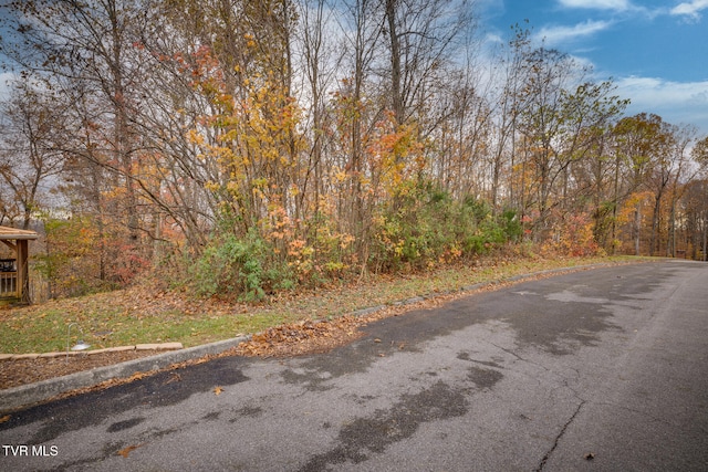 Listing photo 3 for TBD Woodview Ct, Kingsport TN 37664