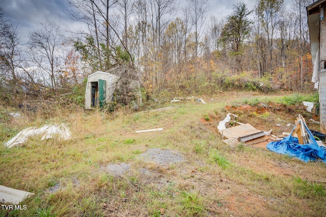 view of yard with a storage unit