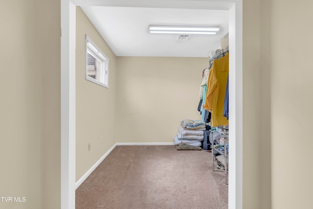 spacious closet with carpet flooring