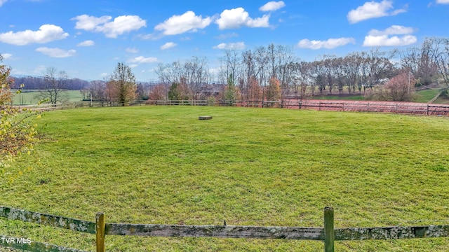 view of yard with a rural view