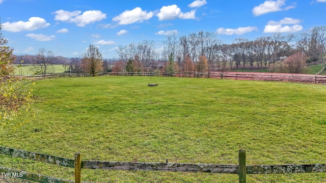 view of yard featuring a rural view