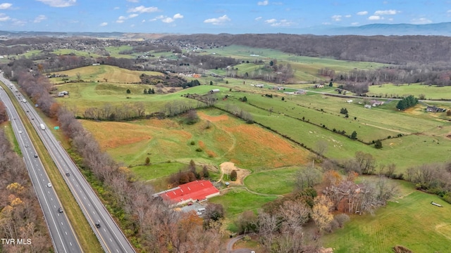 birds eye view of property featuring a mountain view and a rural view