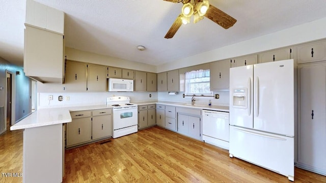 kitchen featuring ceiling fan, sink, light hardwood / wood-style floors, a textured ceiling, and white appliances