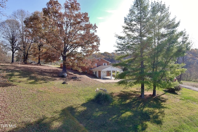 view of yard with a patio area