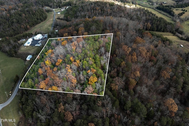 00 Fork Branch Rd, Rogersville, TN 37857 - photo 3
