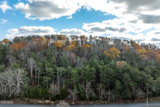 00 Fork Branch Rd, Rogersville, TN 37857 - photo 20