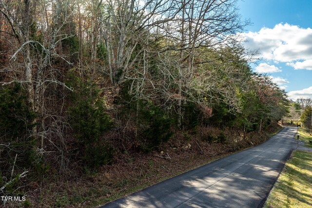 00 Fork Branch Rd, Rogersville, TN 37857 - photo 23