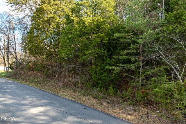 00 Fork Branch Rd, Rogersville, TN 37857 - photo 24
