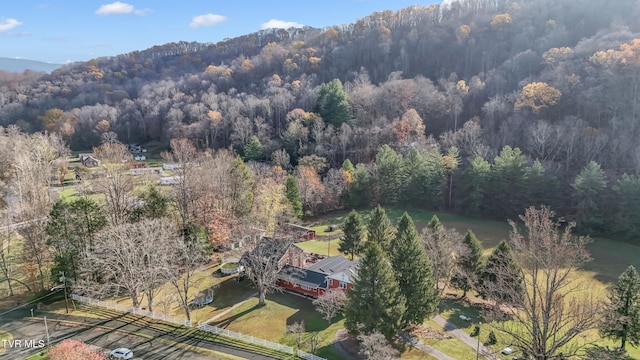 106 W Sycamore Ave, Big Stone Gap, VA 24219 - aerial overview of property's location with a heavily wooded area and a mountainous background