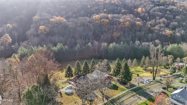 106 W Sycamore Ave, Big Stone Gap, VA 24219 - aerial view of property and surrounding area featuring a forest