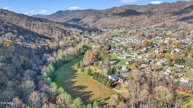 106 W Sycamore Ave, Big Stone Gap, VA 24219 - view of mountain background