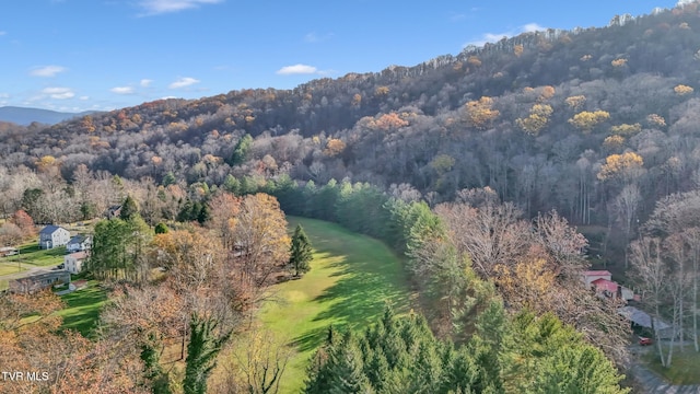 106 W Sycamore Ave, Big Stone Gap, VA 24219 - aerial overview of property's location featuring a forest and mountains