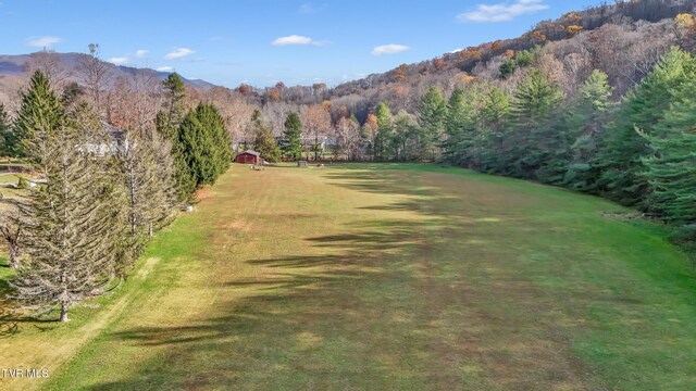 106 W Sycamore Ave, Big Stone Gap, VA 24219 - view of yard featuring a view of trees and a mountain view