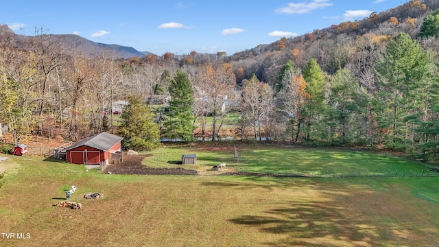106 W Sycamore Ave, Big Stone Gap, VA 24219 - view of green lawn featuring a mountain view, an outdoor structure, and a forest view