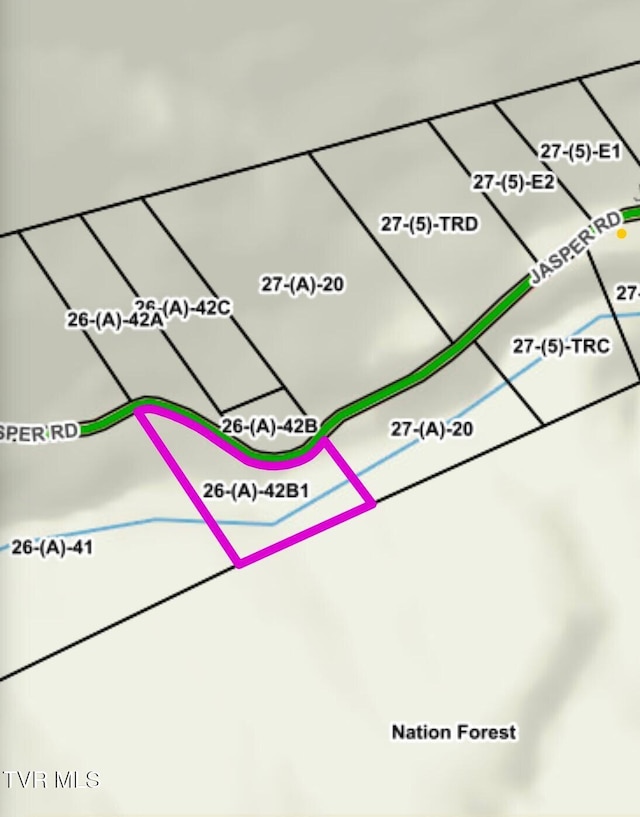 TBD Jasper Rd, Duffield VA, 24244 land for sale