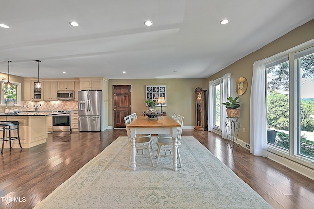 dining space featuring a wealth of natural light and dark hardwood / wood-style flooring