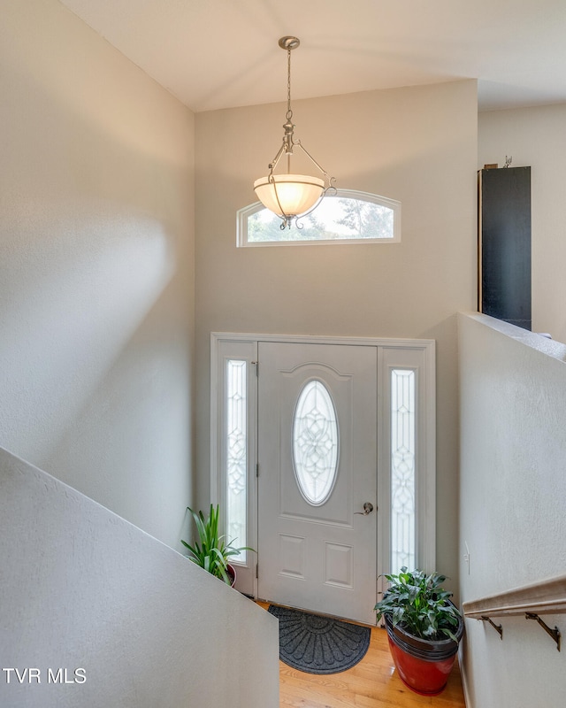 foyer featuring plenty of natural light, a high ceiling, and wood finished floors