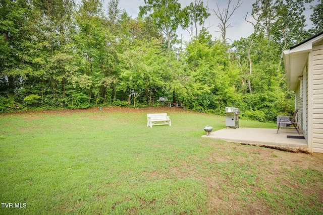 view of yard with a patio