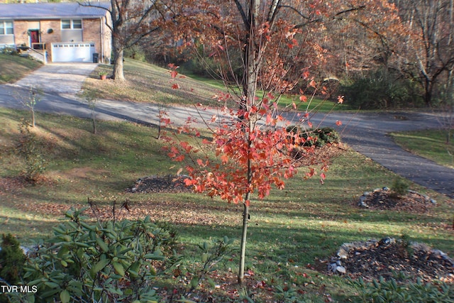 view of yard featuring a garage