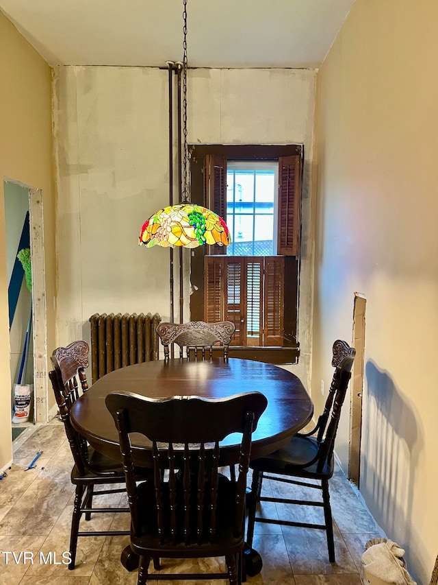 dining area with radiator heating unit