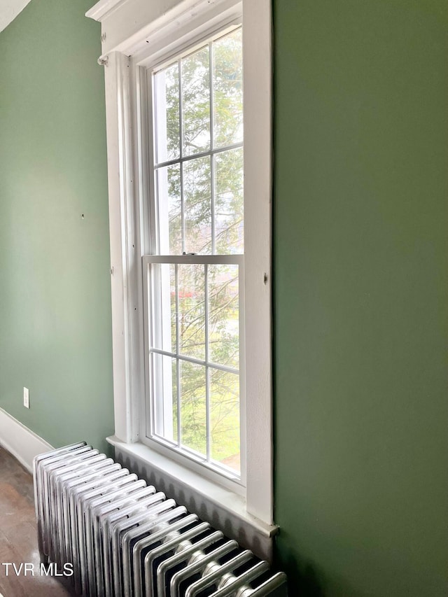 interior space with radiator