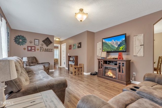 living room with a textured ceiling and hardwood / wood-style flooring