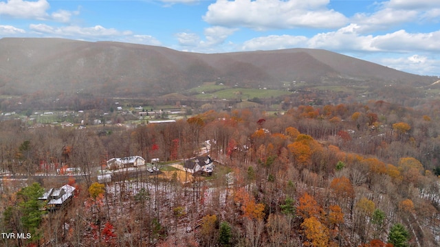 property view of mountains