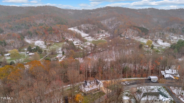 drone / aerial view with a mountain view