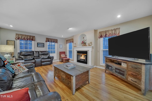 living room featuring light hardwood / wood-style flooring