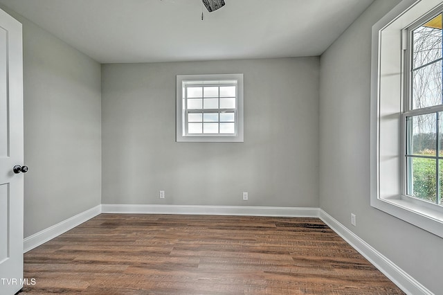 unfurnished room with dark wood-type flooring