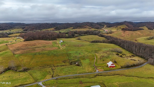 bird's eye view featuring a mountain view and a rural view