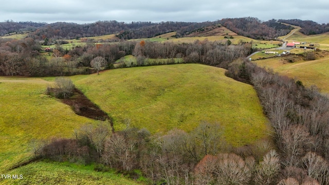 birds eye view of property featuring a rural view