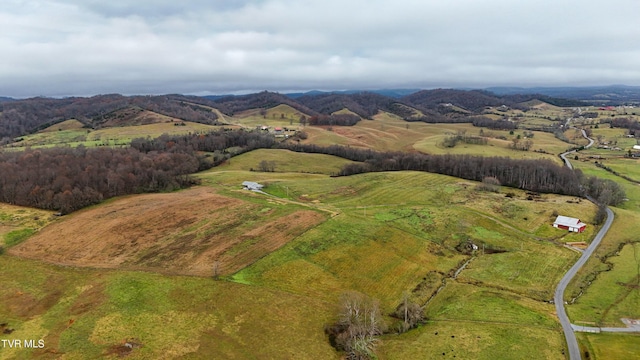 bird's eye view featuring a rural view and a mountain view