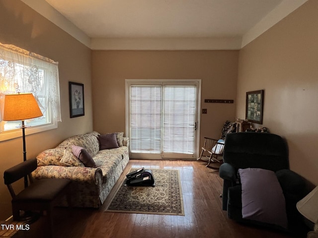 living room featuring wood-type flooring