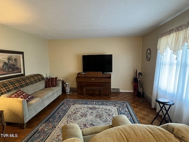 living room featuring dark parquet flooring