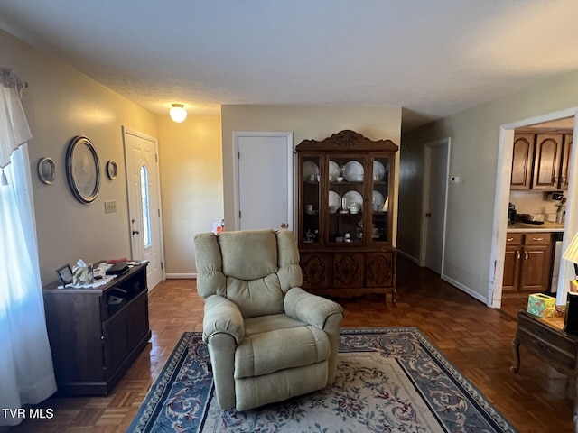 living room featuring dark parquet flooring