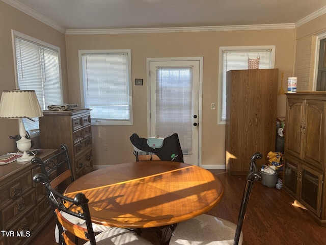 dining room featuring plenty of natural light, dark wood-type flooring, and ornamental molding