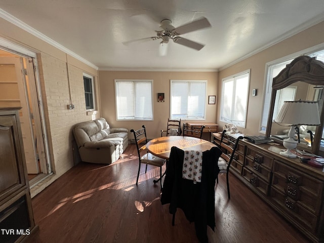 dining room with crown molding, ceiling fan, and dark wood-type flooring