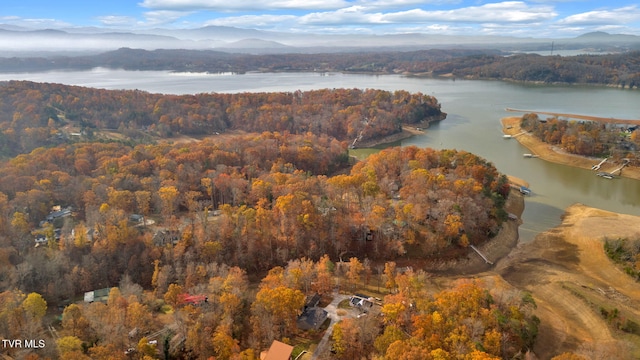 birds eye view of property featuring a water and mountain view