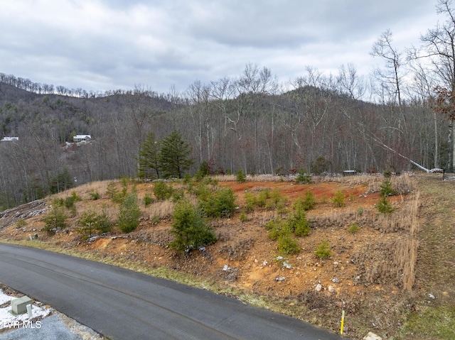 48 Homestead Dr, Unicoi TN, 37692 land for sale