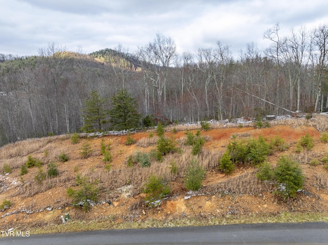 Listing photo 2 for 48 Homestead Dr, Unicoi TN 37692