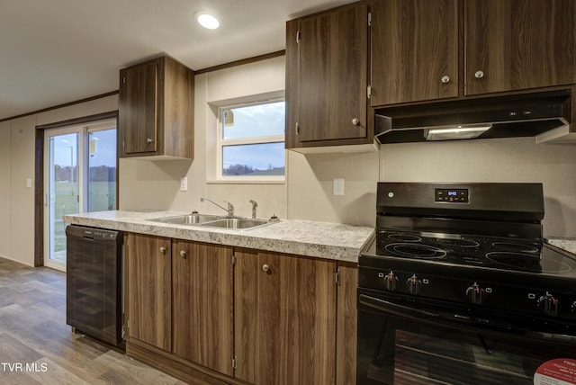 kitchen with a wealth of natural light, sink, black appliances, and light wood-type flooring