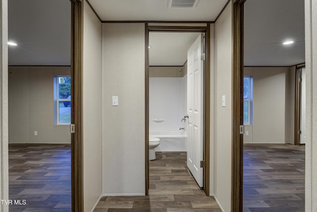 hallway featuring dark hardwood / wood-style flooring